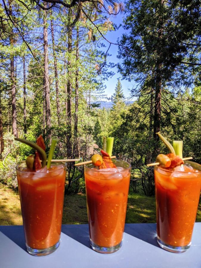 Breckenridge Chalet Near Yosemite. Dog Friendly! Groveland Exterior photo