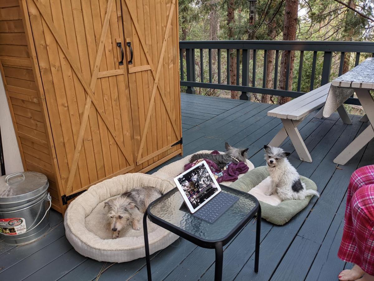 Breckenridge Chalet Near Yosemite. Dog Friendly! Groveland Exterior photo